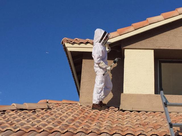 Image for Varsity Termite & Pest Control with ID of: 1297745
