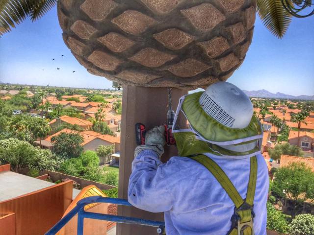 Image for Varsity Termite & Pest Control with ID of: 1297747