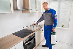 Image for Varsity Termite & Pest Control with ID of: 1297752