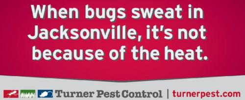Image for Turner Pest Control with ID of: 1297882