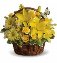 Image for Sending Flowers Fast with ID of: 1298404