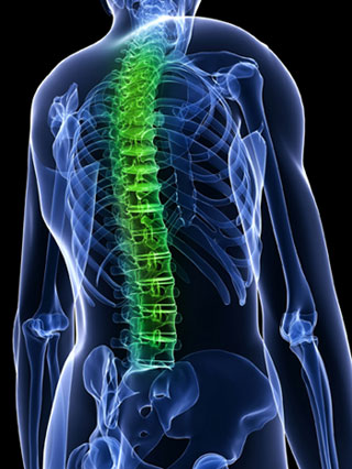 Image for Rathmann-Richards Chiropractic Clinic with ID of: 1298666