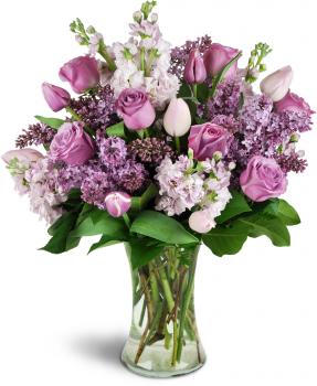 Image for Blooms with ID of: 1299593
