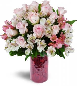 Image for Blooms with ID of: 1299606