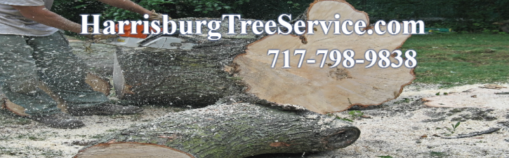 Image for Harrisburg Tree Service with ID of: 1299669