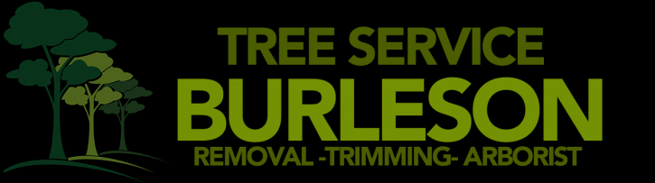 Image for Tree Service Burleson with ID of: 1301289