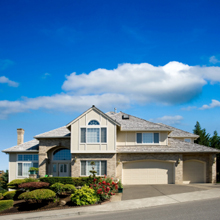 Image for Dame Pest Solutions, Inc. with ID of: 1302291
