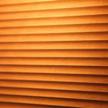Image for Shades Above with ID of: 1302379