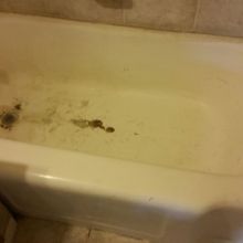 Image for Bathcrest Of Denver with ID of: 1302613