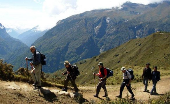 Image for Trekking Pole Reviews with ID of: 1302779
