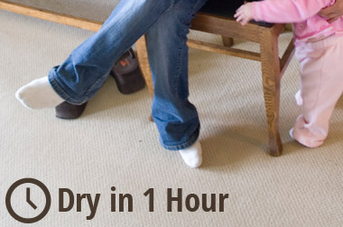 Image for Heaven's Best Carpet Cleaning Riverside CA with ID of: 1303056