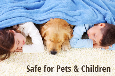 Image for Heaven's Best Carpet Cleaning Riverside CA with ID of: 1303057