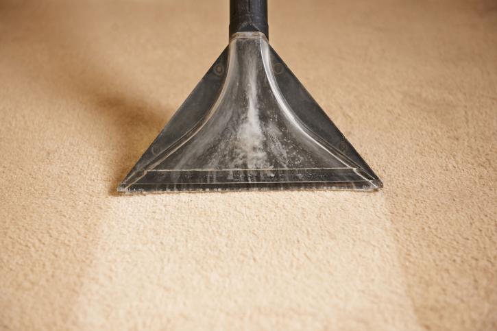 Image for Wilmington Clean Carpet with ID of: 1303235