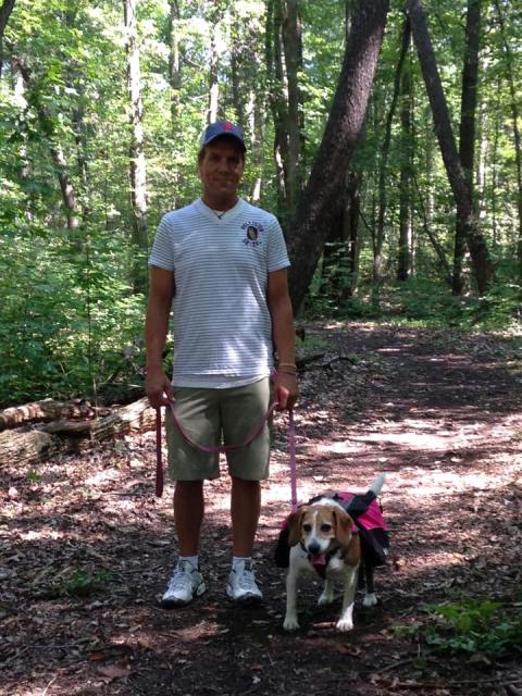 Image for Joey Luke's Dog Training with ID of: 1303328