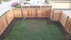 Image for Certified arborist with ID of: 1303729