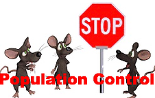 Image for Orange County Rat Control with ID of: 1303899