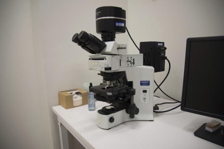 Image for Automated Microscopy Market size and Key Trends in terms of volume and value 2014-2020 with ID of: 1304014
