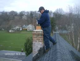 Image for Chimney inspection service with ID of: 1304453