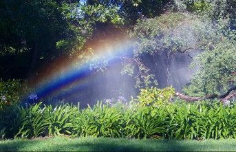 Image for Sage Scapes with ID of: 1304973