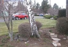 Image for Sage Scapes with ID of: 1304976