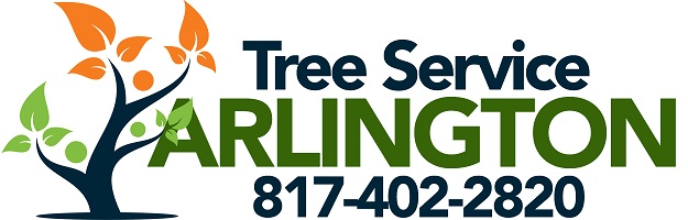 Image for Tree Service Arlington with ID of: 1305020