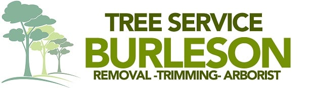 Image for Tree Service Burleson with ID of: 1305032