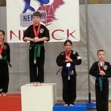 Image for American Martial Arts Association with ID of: 1305114