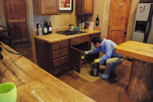 Image for Pest Defense Solutions with ID of: 1306542