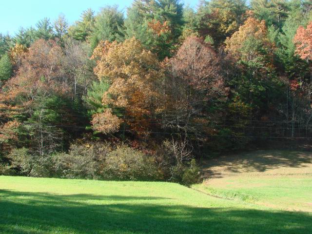 Image for Murphy North Carolina  11.6+/- Acres - Pasture and Wooded with ID of: 130875