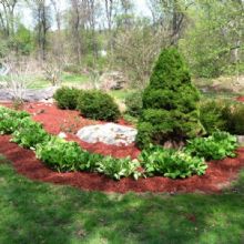 Image for Shenandoah Landscaping with ID of: 1310331