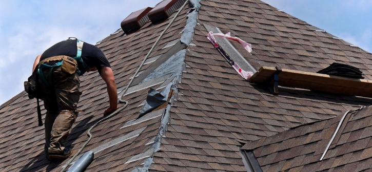 Image for Roof Giant Warren with ID of: 1313224