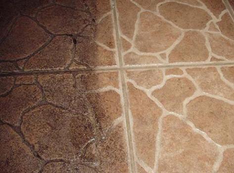 Image for Steamboat Carpet Cleaning with ID of: 1313379