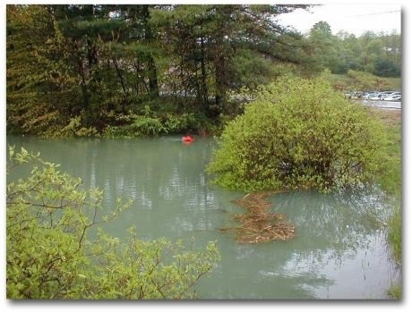 Image for GeoInsight, Inc. with ID of: 1313690