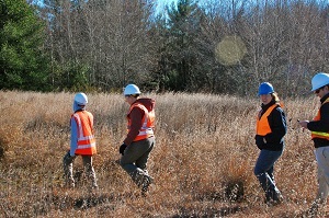 Image for GeoInsight, Inc. with ID of: 1313691