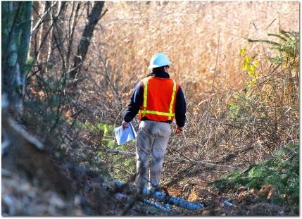 Image for GeoInsight, Inc. with ID of: 1313693