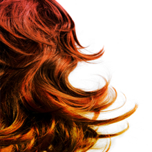 Image for Getty Williams Studio with ID of: 1314602