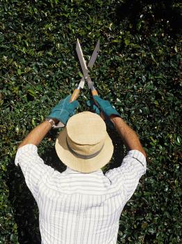 Image for Above The Ground Tree Care LLC with ID of: 1315218