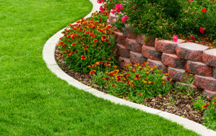 Image for Carlsbad Lawn Care with ID of: 1316500