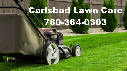 Image for Carlsbad Lawn Care with ID of: 1316506