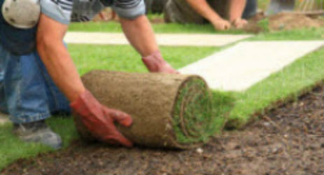 Image for Carlsbad Lawn Care with ID of: 1316511