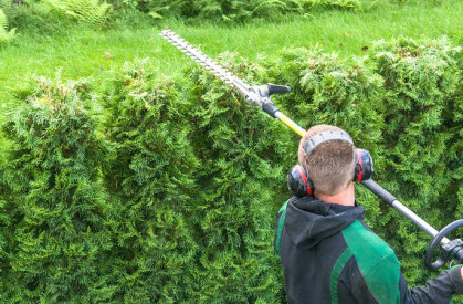 Image for Carlsbad Lawn Care with ID of: 1316513
