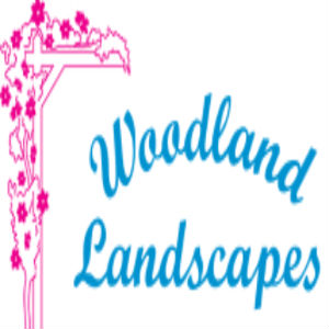 Image for Woodland Landscapes with ID of: 1317927