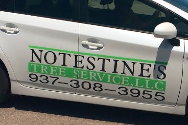 Image for Notestine's Tree Service with ID of: 1317960