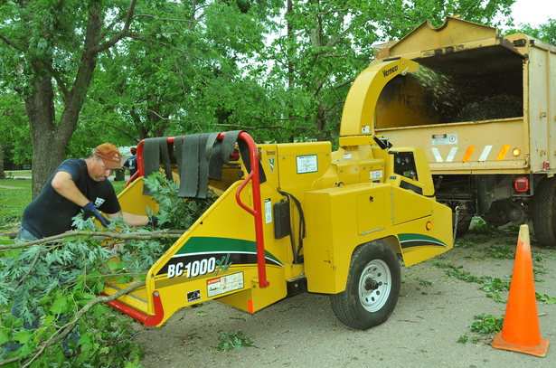 Image for Central VA Tree Removal with ID of: 1318201