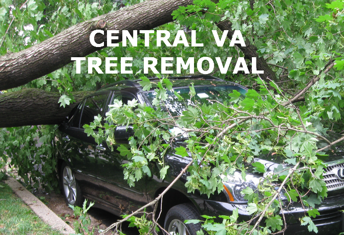 Image for Central VA Tree Removal with ID of: 1318203