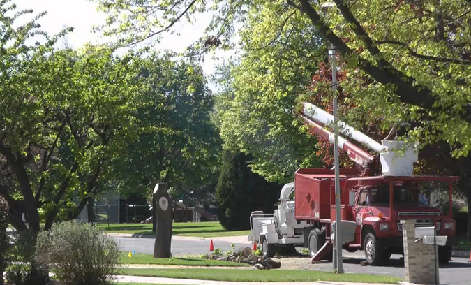 Image for Central VA Tree Removal with ID of: 1318205
