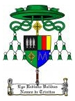 Image for St. Francis Parish News with ID of: 132196