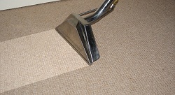 Image for Dynamic Cleaning Solutions with ID of: 1323937