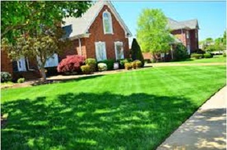 Image for We Care Lawn Care Solutions with ID of: 1325451