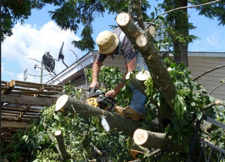 Image for Fort Smith Tree Care with ID of: 1325802